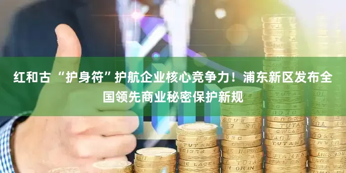 红和古 “护身符”护航企业核心竞争力！浦东新区发布全国领先商业秘密保护新规
