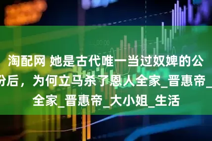 淘配网 她是古代唯一当过奴婢的公主，恢复身份后，为何立马杀了恩人全家_晋惠帝_大小姐_生活