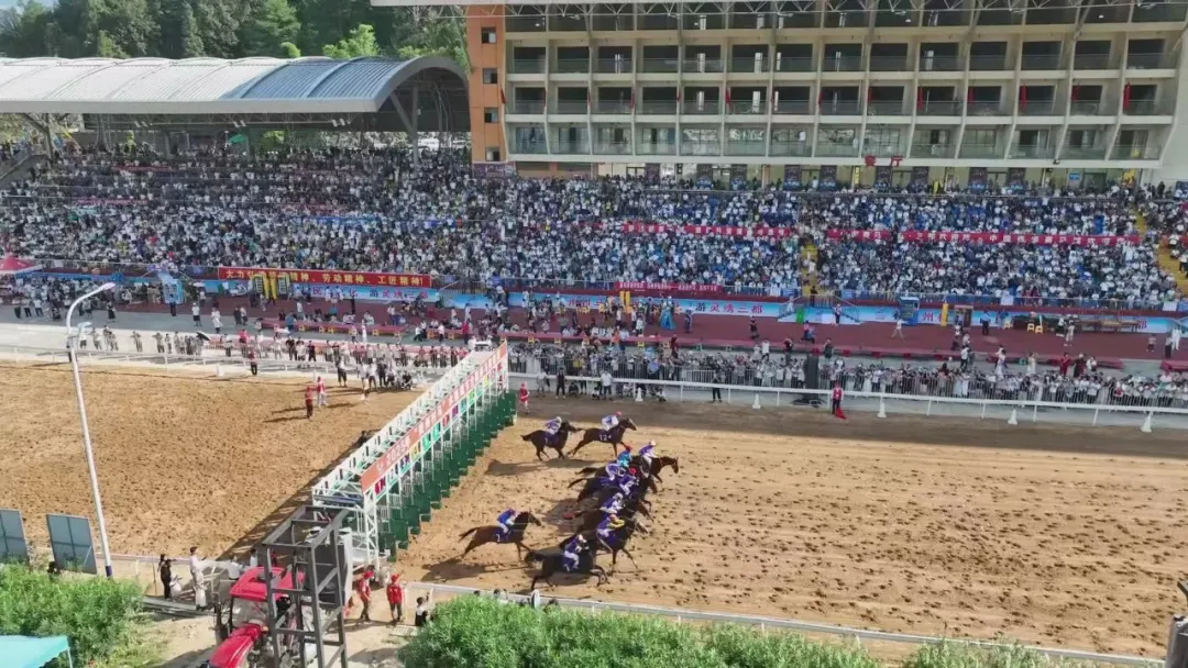 钱盈配 报名开启，2025年三都端节“贵州村马”全国赛马联赛即将开赛！