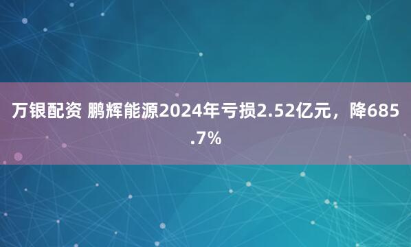 万银配资 鹏辉能源2024年亏损2.52亿元，降685.7%