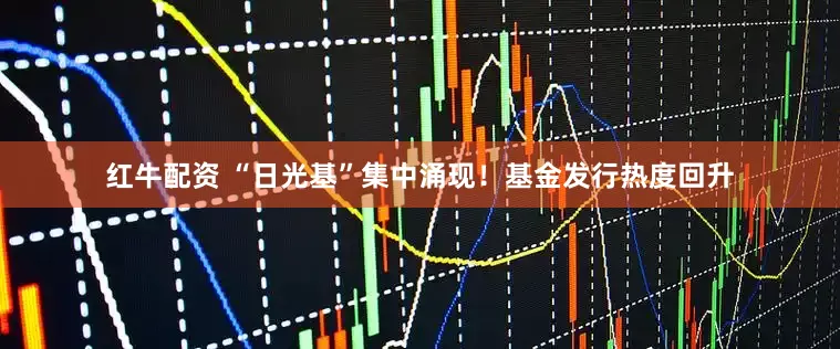 红牛配资 “日光基”集中涌现！基金发行热度回升