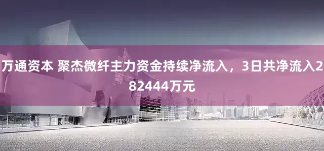 万通资本 聚杰微纤主力资金持续净流入，3日共净流入282444万元