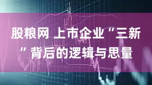 股粮网 上市企业“三新”背后的逻辑与思量